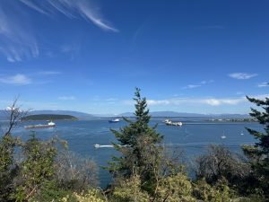 maritime lawyers working in cap sante