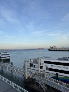 san francisco boat accident and cruise ship lawyers