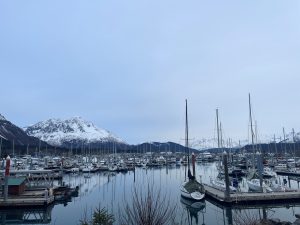 Best Maritime Lawyers in Alaska